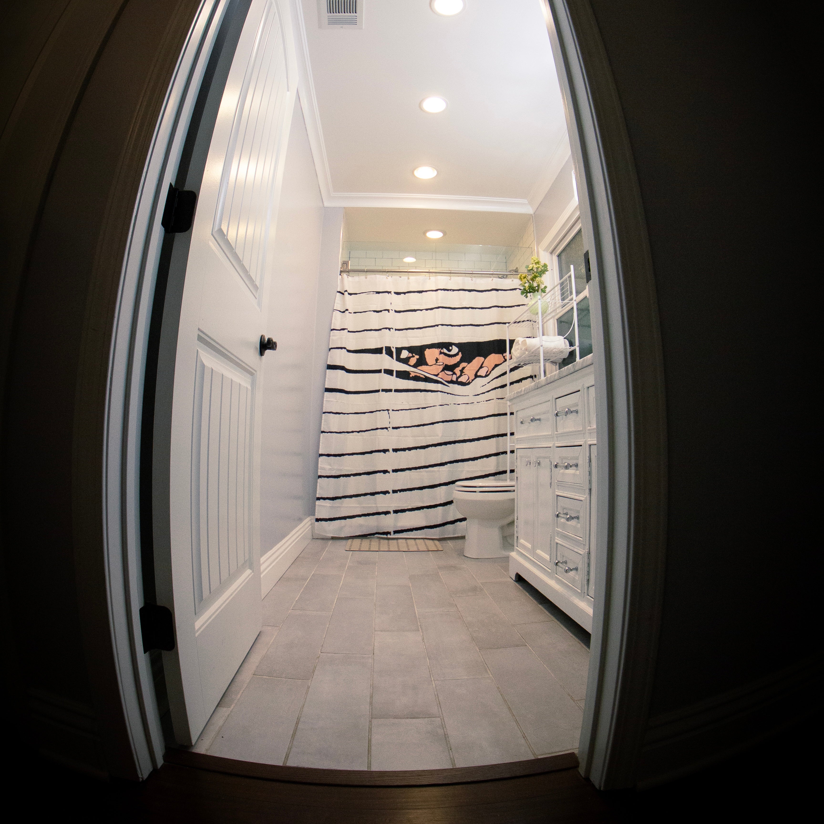 d. Paranoid Shower Curtain